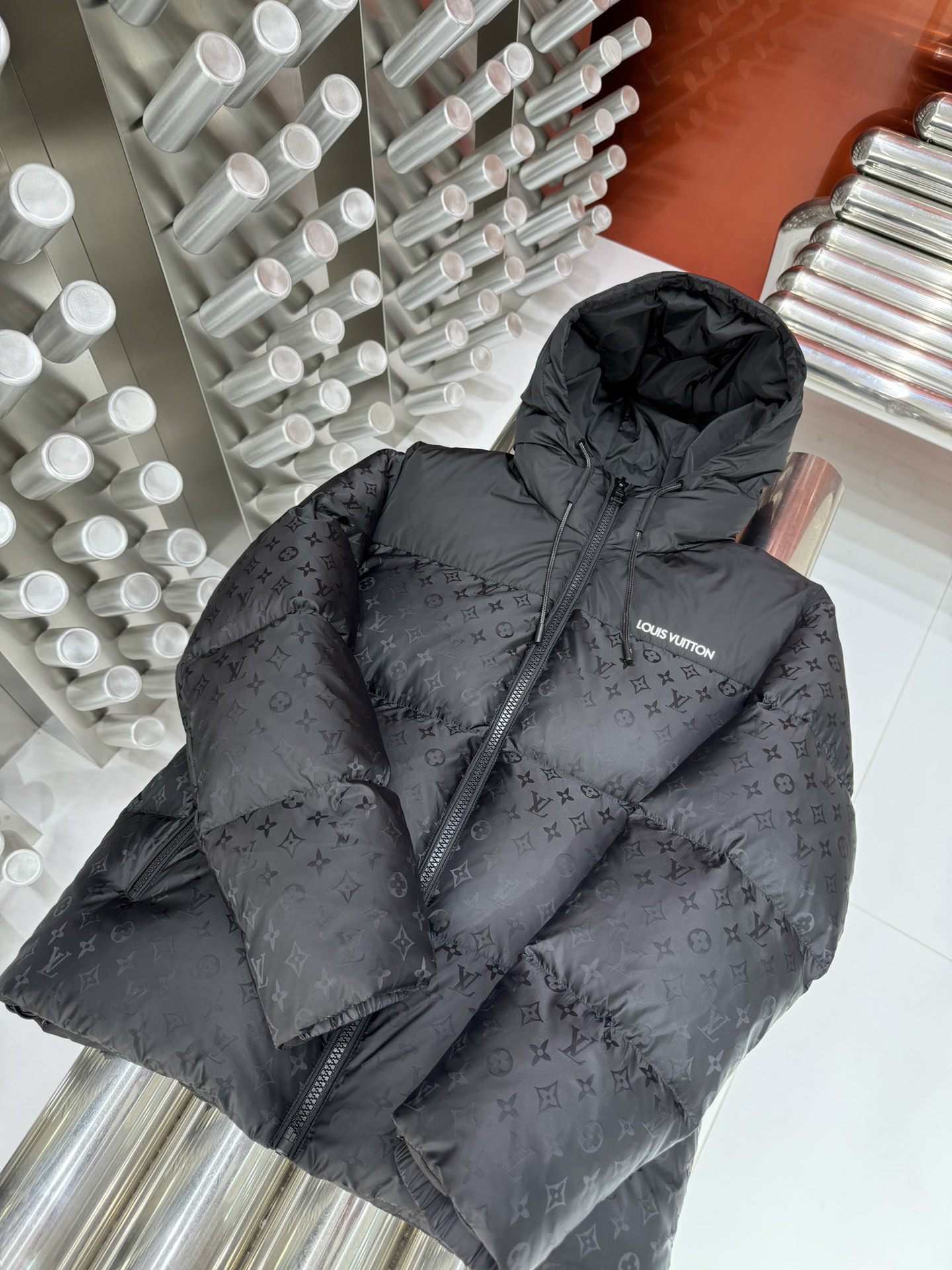 Louis Vuitton Down Jackets